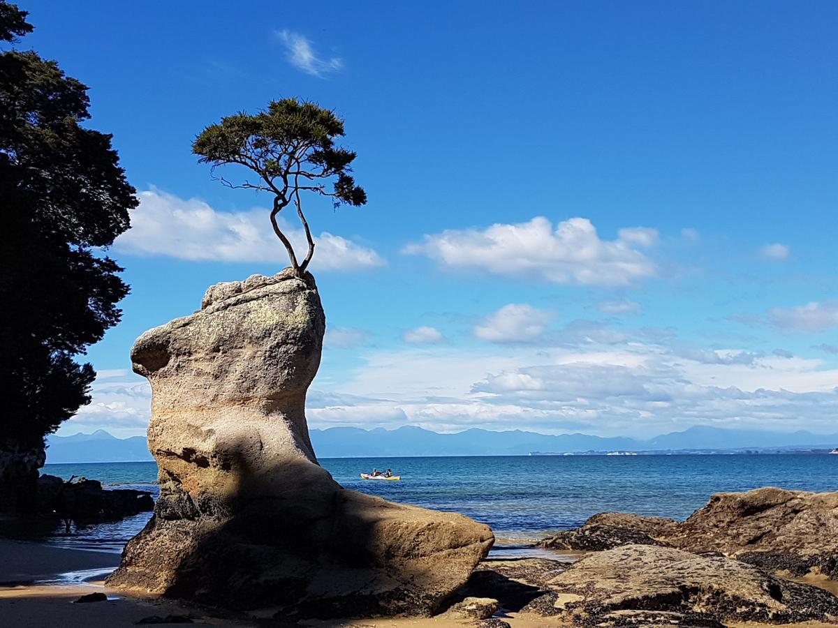 Abel Tasman Sands Bnb Riwaka Экстерьер фото